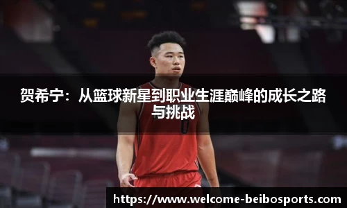 贺希宁：从篮球新星到职业生涯巅峰的成长之路与挑战